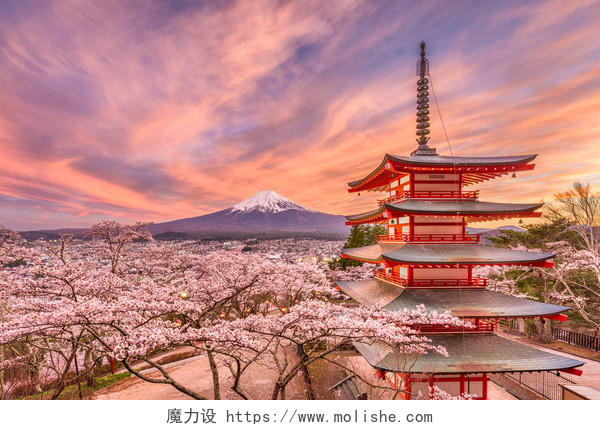 日本富士山和宝塔的春季观日本旅游